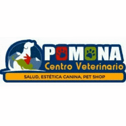 Centro Veterinario Pomona